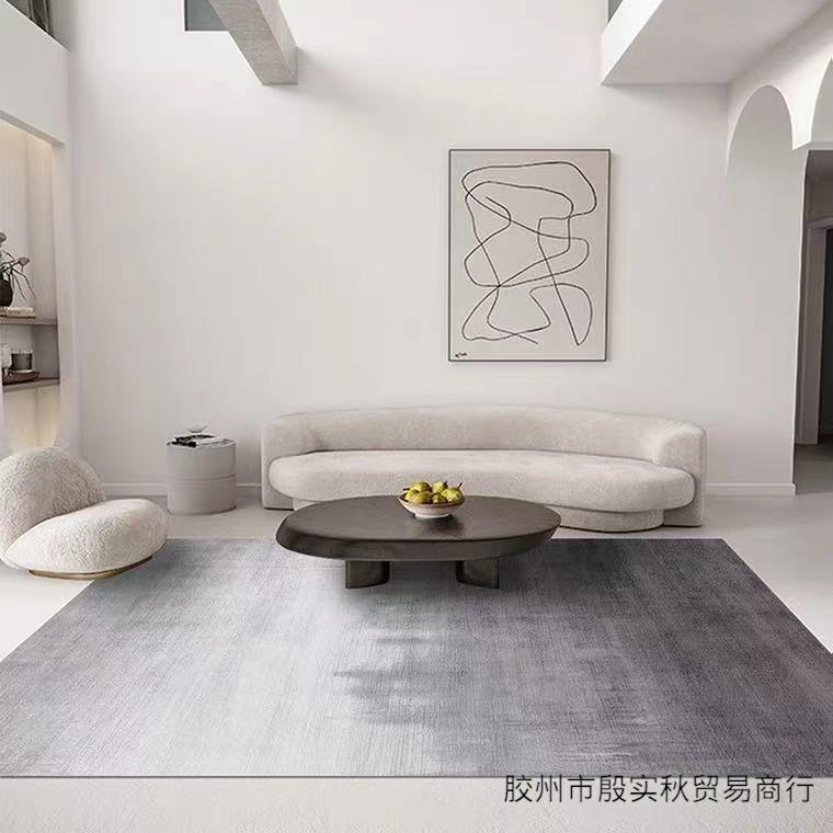 现代简约PVC客厅可擦洗地垫阳台茶几皮革免洗防水防滑PU入户地毯