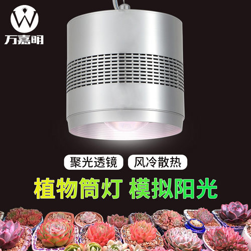 全光谱植物生长灯风冷筒灯球泡室内家用仿太阳上色防徒多肉补光灯