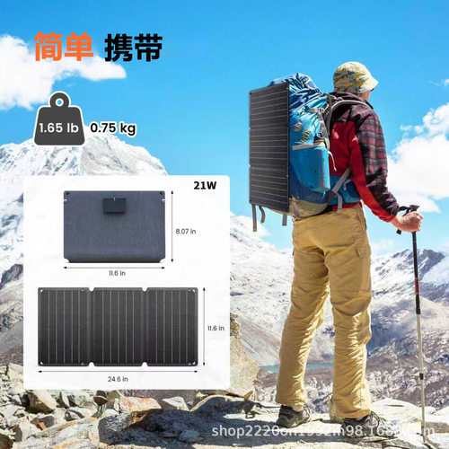 单晶硅离网储能光伏板