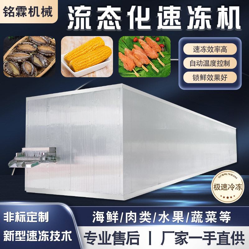 带鱼海鲜速冻机 鸡腿鸡翅速冻流水线 草莓芒果流态化速冻设备