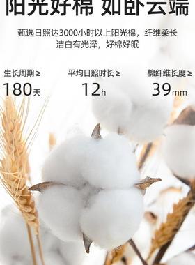 10棉0支长绒F96959TS纯棉床单单单件贡100缎被紫色单人枕套三件套