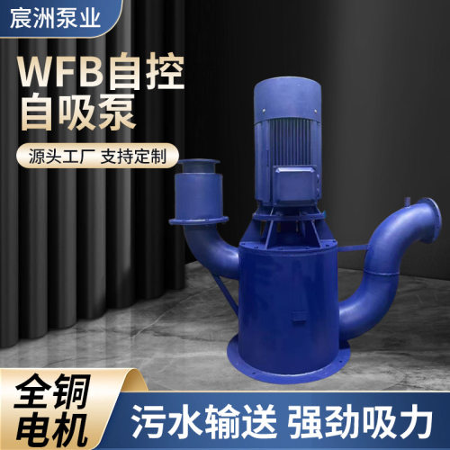WFB自控不锈钢污水自吸泵