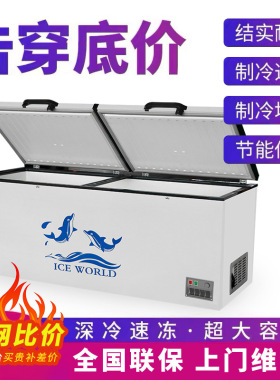 卧式冰柜 大容量卧式冷藏柜保鲜冷冻柜两用冷柜家用 小型双温冰箱