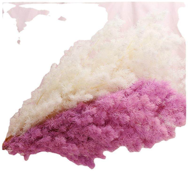 厂家直供永生蓬莱松永生花花材礼盒制作材料节日礼物配材,家居饰品,餐桌花艺,淘宝优惠券,粉丝福利购,淘宝优惠卷