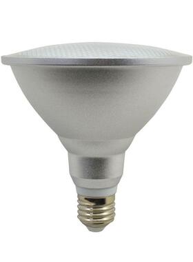 新款LEDPAR灯PAR38射灯12W15W18W帕灯射灯酒店用防水户外灯