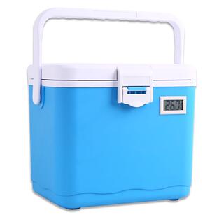 5-10L带温度计冷藏箱便携式冻奶家用保鲜箱母乳保温箱