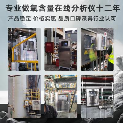 在线式反应釜氧含量分析仪激光顺磁氧含量离心机微量氧含量分析仪