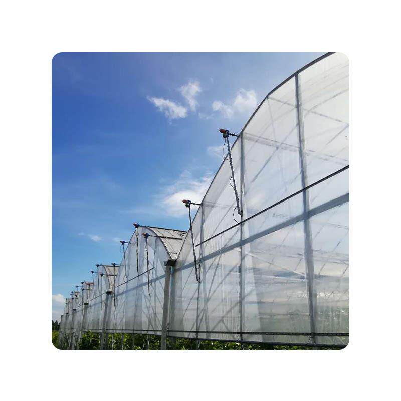连栋单体大棚日光温室草莓养殖育苗棚连栋钢架骨架养殖大棚定制