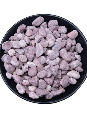 红色水洗石园林装饰多肉花盆铺面洗米石日式水磨小石子碎石头