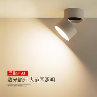 筒灯led射灯家用吸顶天花灯免开孔走廊过道灯客厅散光轨道灯 明装