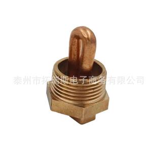 120V400W1‘’NPT发动机预热器缸体加热器冷却液加热塞