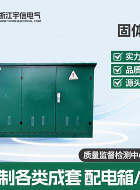 高压固体绝缘环网柜一二次融合开关柜SF610KV充气柜箱变箱式