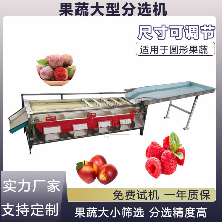 厂家直销李子三华李分选机 商用柠檬杏分级机大型 滚筒沃柑分选机