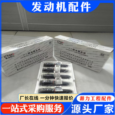 NT855喷油器4914308  3054218 源头厂家 喷油器4914308  3054218