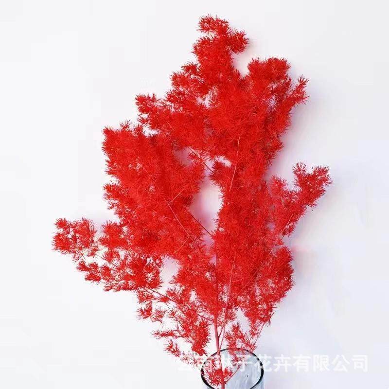 永生蓬莱松干花DIY材料家居插花摆件婚庆装饰真花花束配材,家居饰品,餐桌花艺,淘宝优惠券,粉丝福利购,淘宝优惠卷