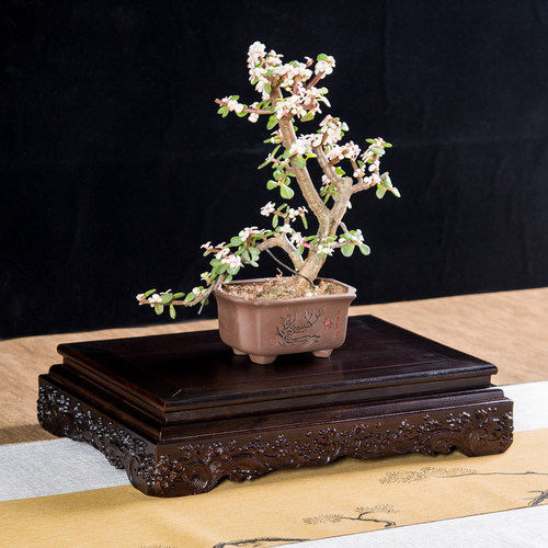 红木底座鱼缸盆景奇石支架石头佛像供奉台摆件花瓶长方形实木托架