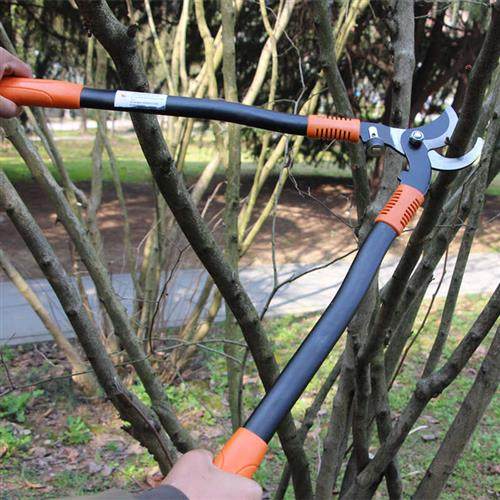 粗枝剪修枝大剪刀 剪枝剪园艺剪刀 花木剪小高枝果树修枝剪刀包邮