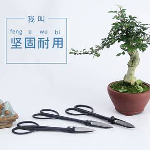 金田剪刀修枝剪盆景修剪造型制作盆栽朱记叶芽剪树枝剪刀园艺工具