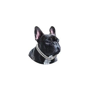 Chain Walking Diamond Collar Metal Cuban Dog