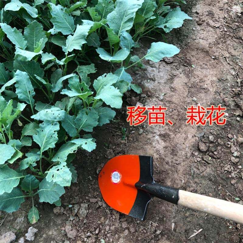 加厚家用农用小铁铲平头花园土铲子铁锹木炭煤铲野菜铲灰铲火钩子