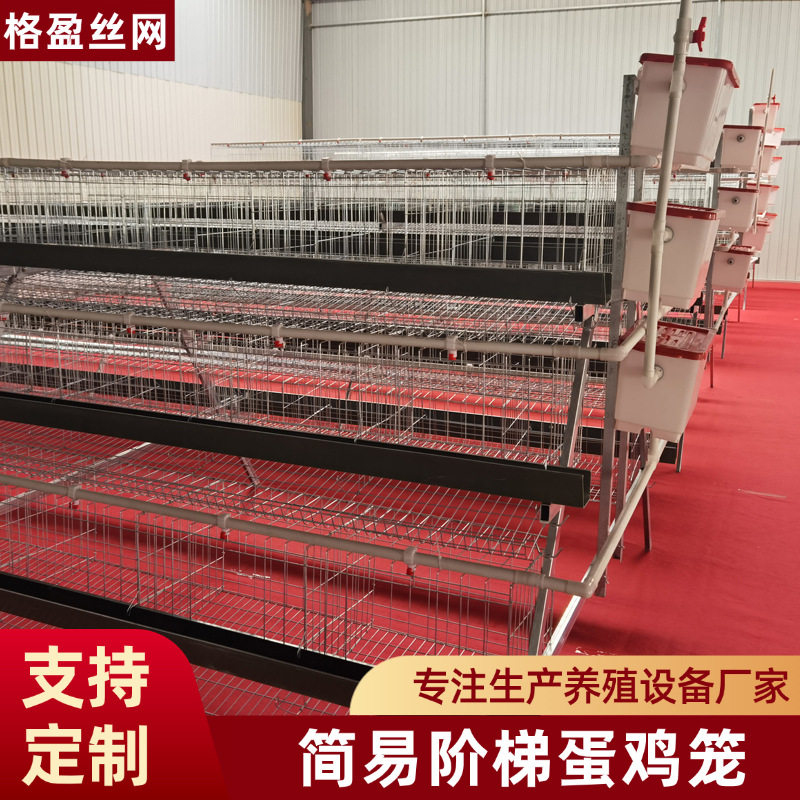 阶梯式蛋鸡笼三层四层多门蛋鸡笼冷热镀锌白槽绿槽蛋鸡笼设备定制