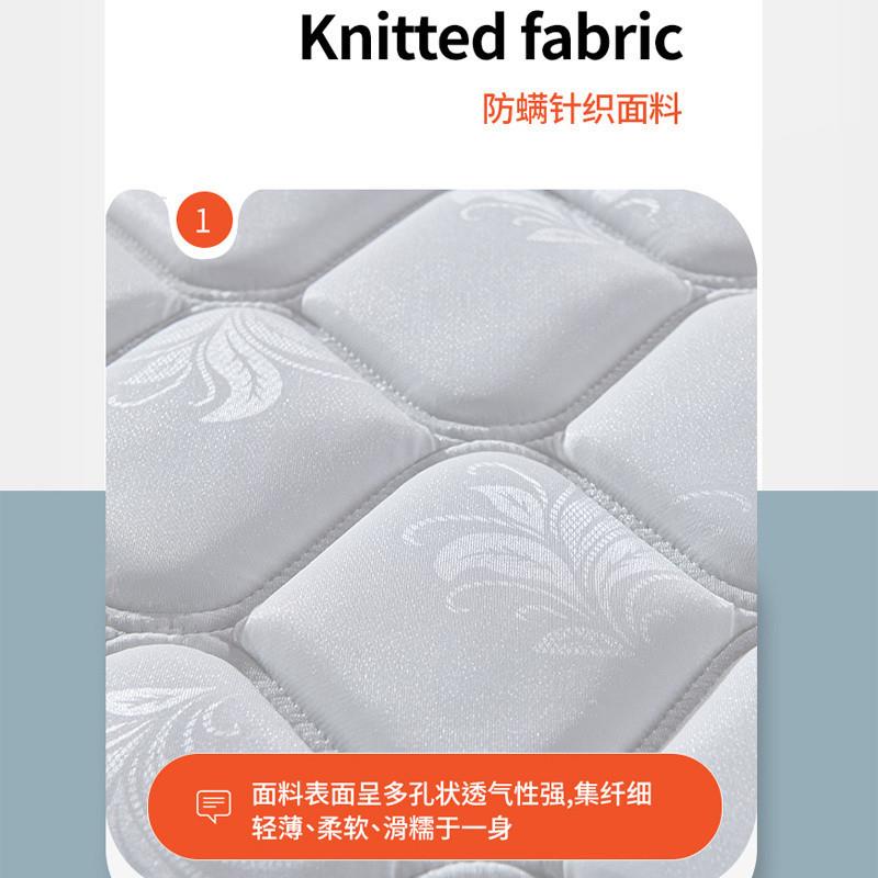 席梦思簧床垫家用乳胶弹椰棕软硬两用1房.8米1.520cm租经AST厚济