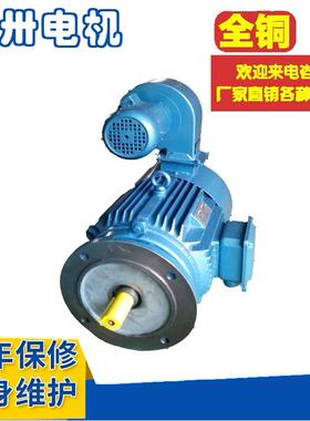 直销YLJ090-4-YLJ90-5-66YLJ9-268627-4相异步力矩电动机力矩三电