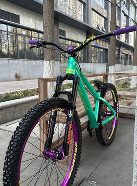 BOARS车E202826625款思土坡整车博瑞思整车山地26寸硬博尾睿单速