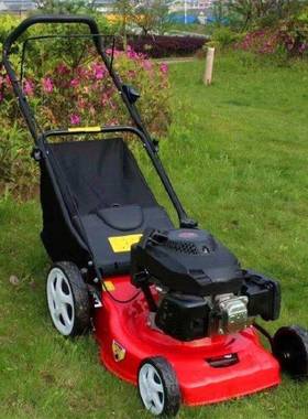 私别墅花割草AL-65615机草地绿化修剪机公园园草手推式修剪坪人机