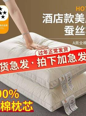 热卖可式全款棉形32772蚕丝枕头水洗久睡不变高档芯套装一对装