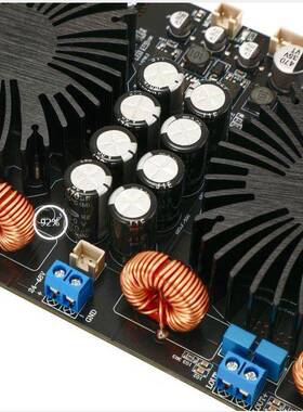 YJ功-TP3255A双芯大功率20功放板.PKBD类家用散热器放板