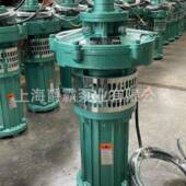 油ROI浸泵3KW2寸30V用8农田于排灌园林喷灌井下提水水塔城送水建