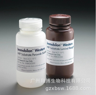 Millipore 发光底物HRP(ECL发光液)WBKLS0500 2*250ml