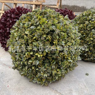 仿真灌木球树假海桐球草球树绿化道小叶黄杨万年青金边黄杨灌木球