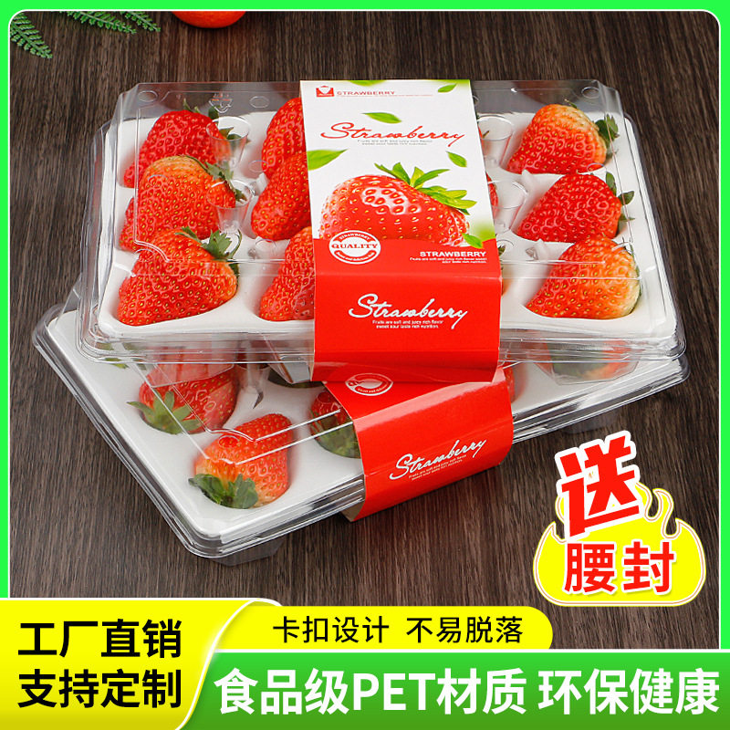 批发草莓礼品盒一次性打包盒 PET高档水果保鲜透明加厚吸塑包装盒