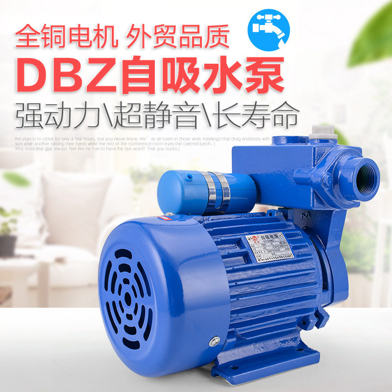 DBZ电动单相自吸泵 农用家用增压泵 闽东水泵 口径25MM耐用