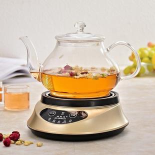 养生壶家用全自动加厚玻璃多功能煮水果茶壶办公室花茶壶煮茶器1L