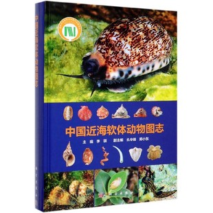 保正版 社 中国近海软体动物图志李琪科学出版 现货