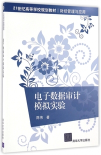 正版 电子数据审计模拟实验陈伟清华大学出版 社 图书