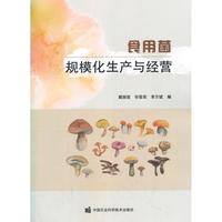 【正版書包郵】食用菌規(guī)?；a(chǎn)與經(jīng)營戴麗君祁登榮李萬斌中國農(nóng)業(yè)科學技術(shù)出版社有限公司