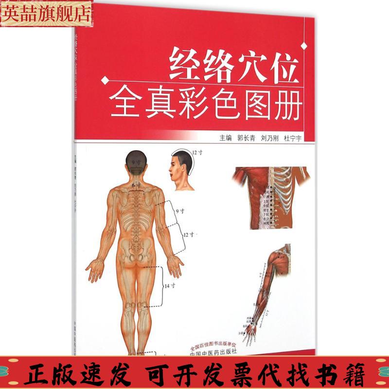 正版图书 经络穴位全真彩色图册郭长青刘乃刚杜宁宇中国医出版社