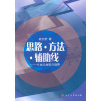 保正版现货思路方法辅线平面几何指导姚文武山东教育出版社