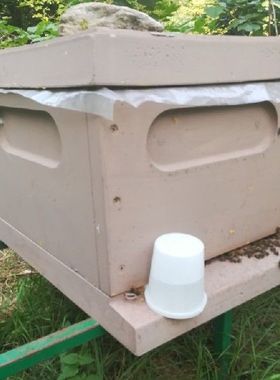 Bee Trough 5 Sets of white plastic beekeepers beekeeping