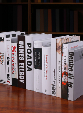 现代仿真书假书道具书装饰书家居创意小摆设客厅样板房装饰品摆件