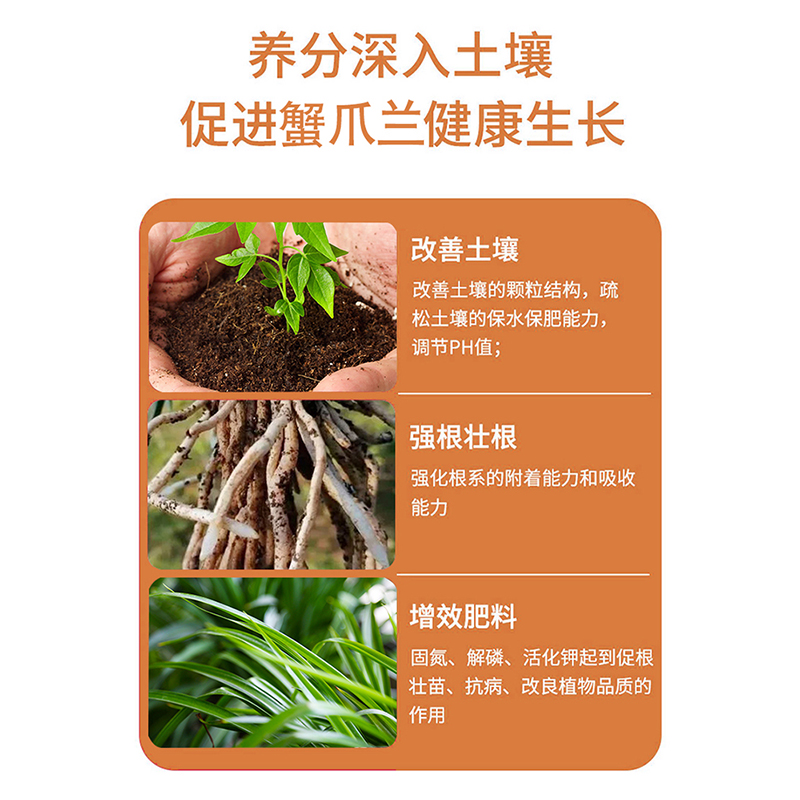 免稀释蟹爪兰肥料专用营养液花卉植物盆栽家用养花长寿花通用花肥