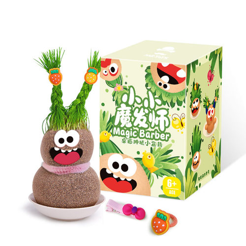 极速头上长草头娃娃小盆栽学生儿童手工礼物幼儿园观察生长水培种