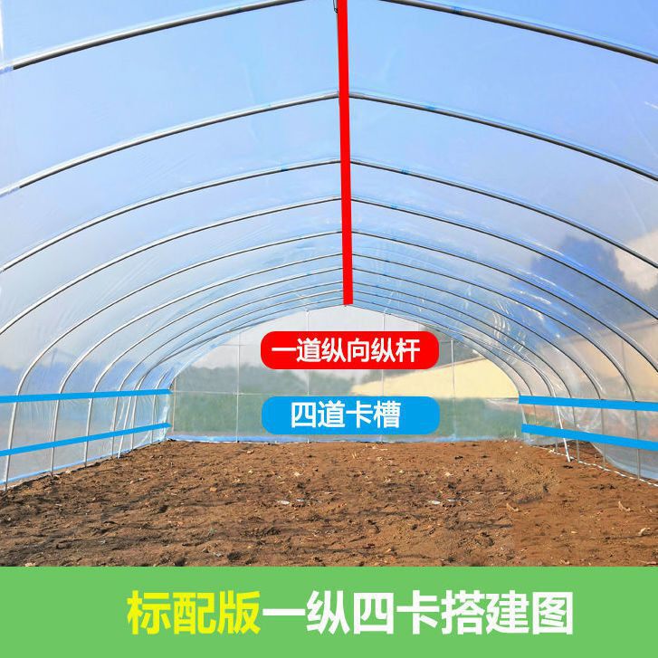 极速件栋农体大温用连业养殖家室A大棚连骨架简易钢管棚大蔬菜全m