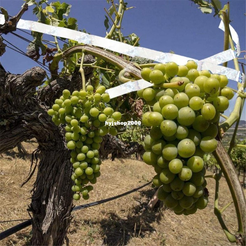 80m Flash Reflective Bird Scare Ribbon Anti Bird Tape Belt S