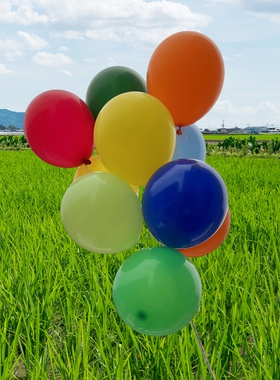 10寸加厚亚哑光圆形乳胶粉蓝黑黄绿橙色纯白生日婚房店铺装饰