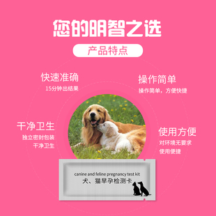 狗测孕试纸卡犬怀孕检测试纸早孕检测卡宠物常备验孕布病试纸包邮
